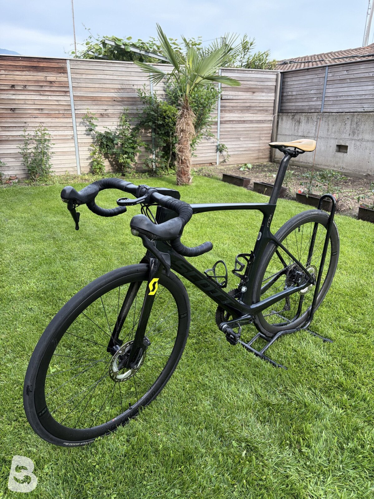 Scott Foil 10 2020