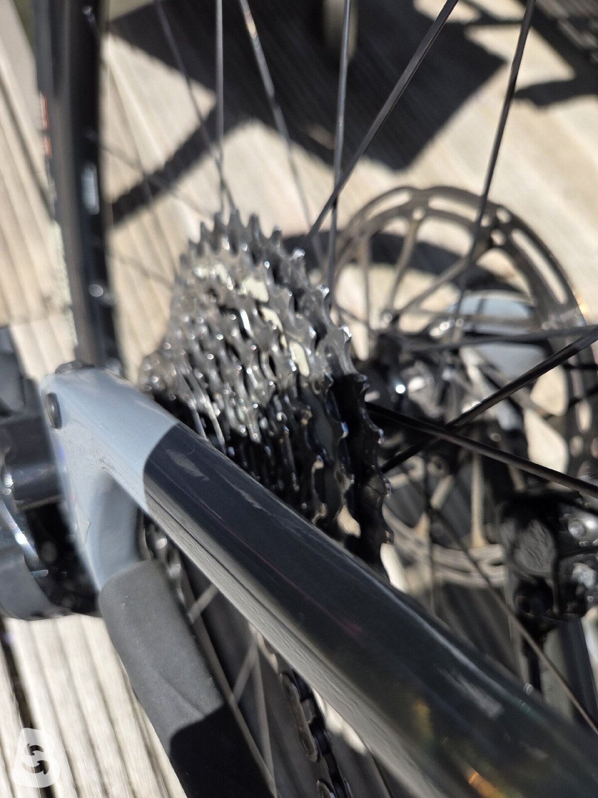Giant Revolt Advanced Pro 2025