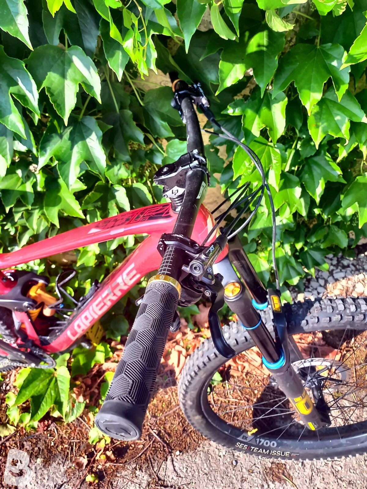 Lapierre Spicy CF Custom 2021