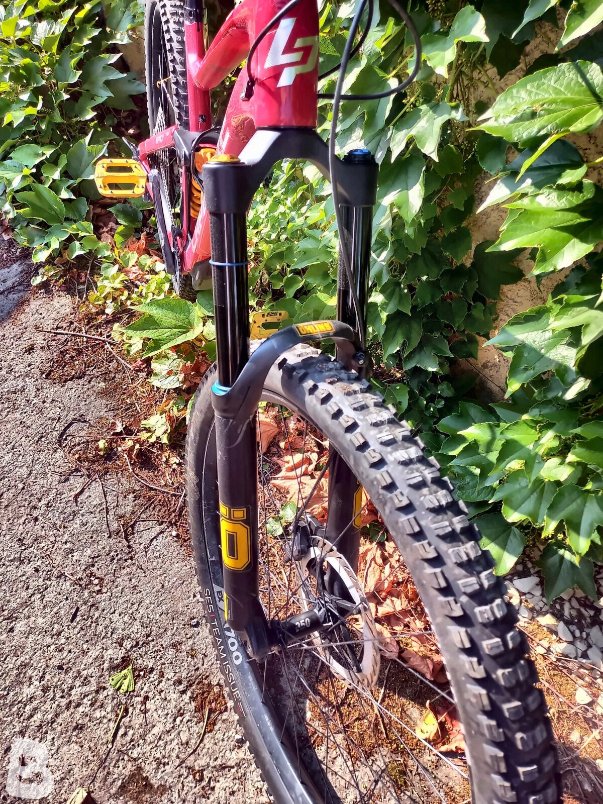Lapierre Spicy CF Custom 2021
