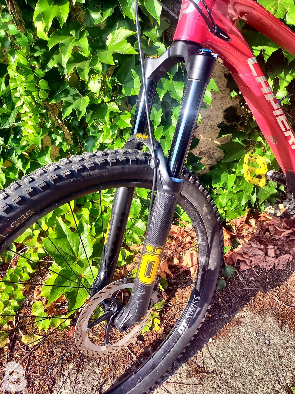 Lapierre Spicy CF Custom 2021