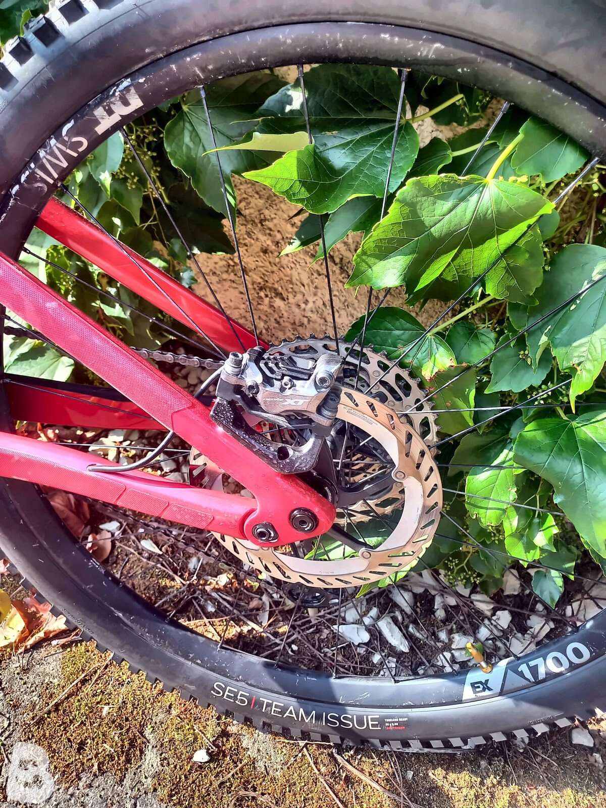 Lapierre Spicy CF Custom 2021
