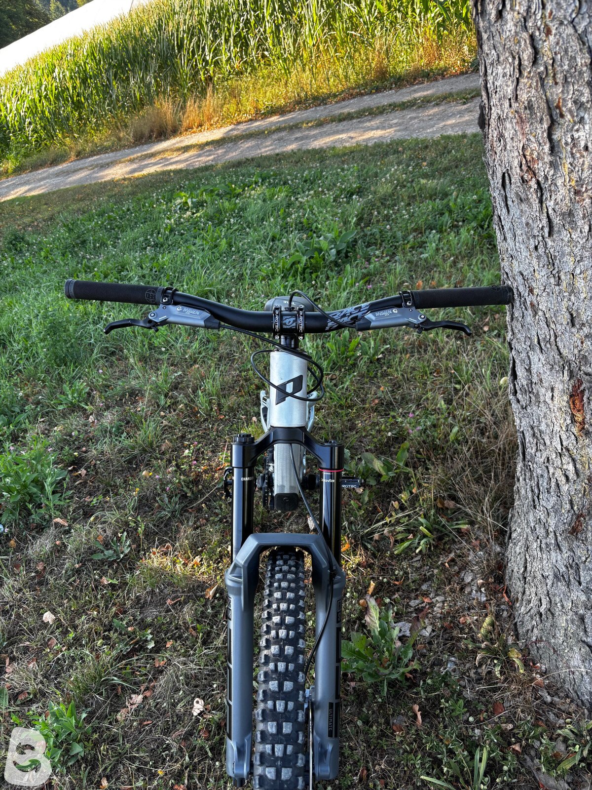 Propain tyee AL custom 2025