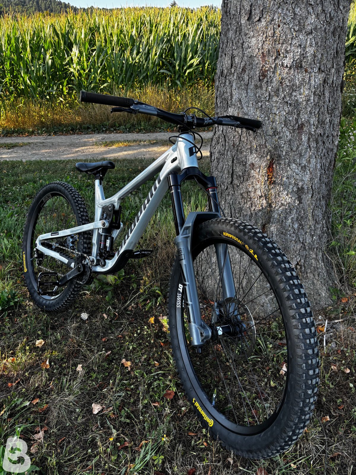 Propain tyee AL custom 2025