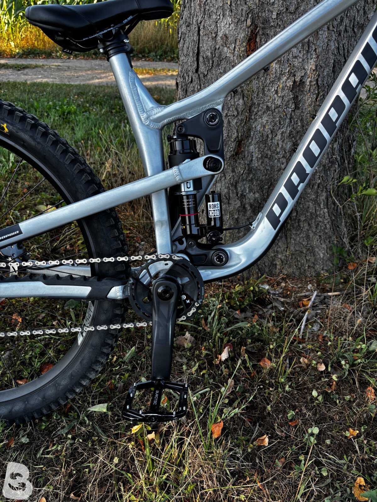 Propain tyee AL custom 2025
