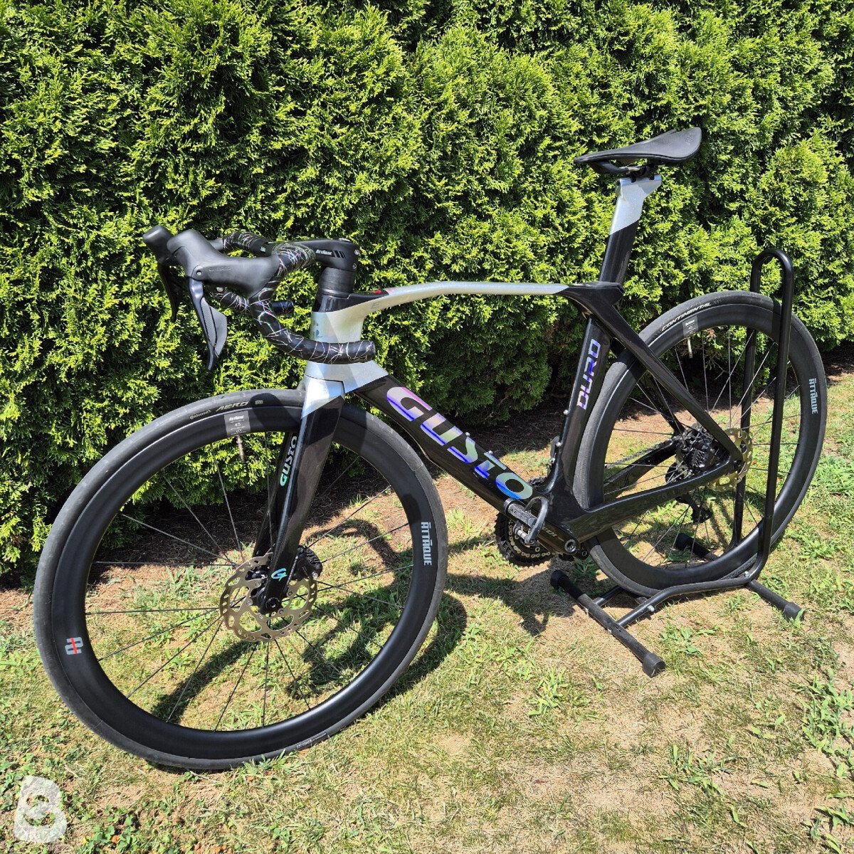 Gusto Duro EVO Carbon Rennrad 2025