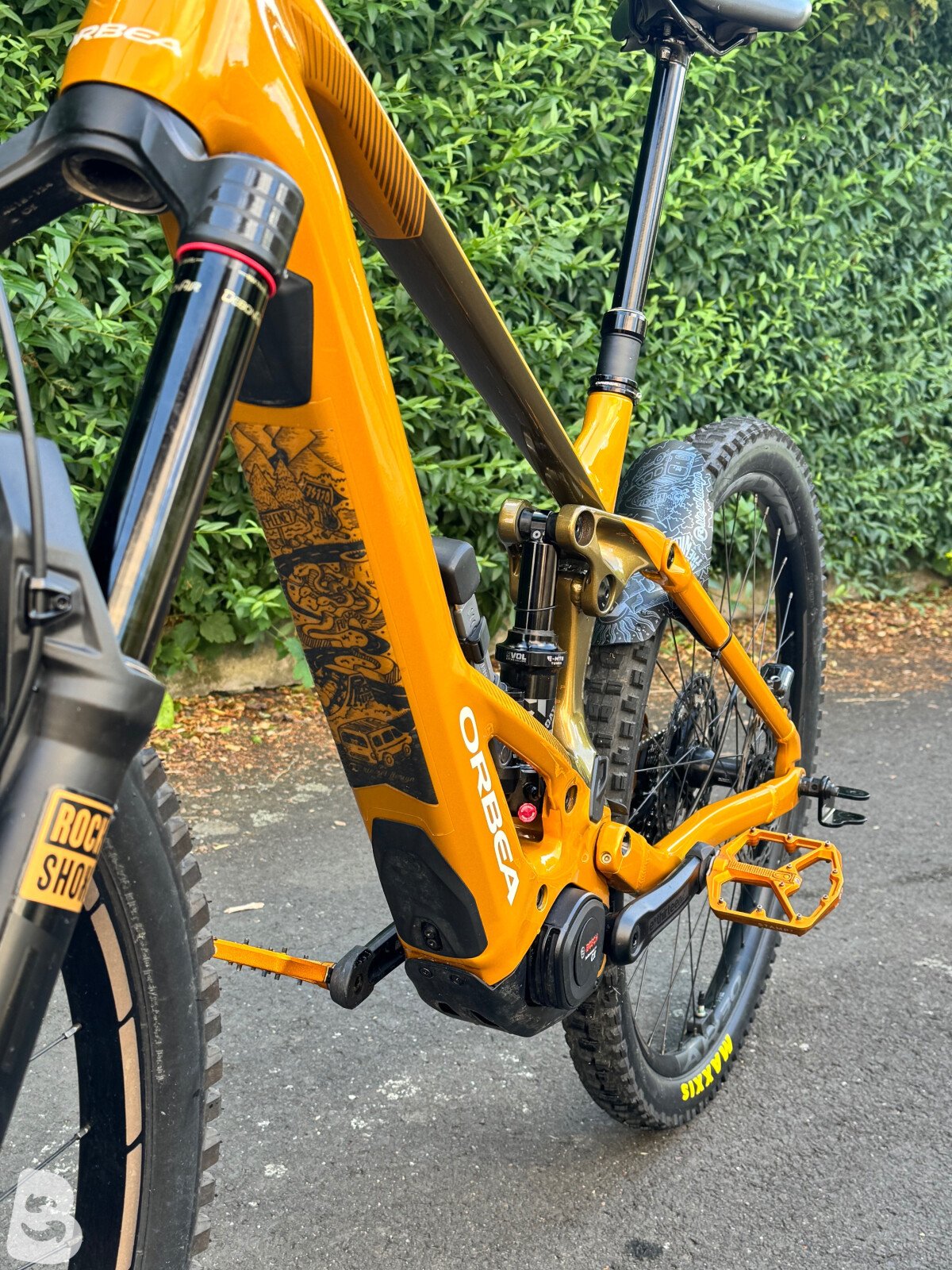 Orbea Wild H20 2025
