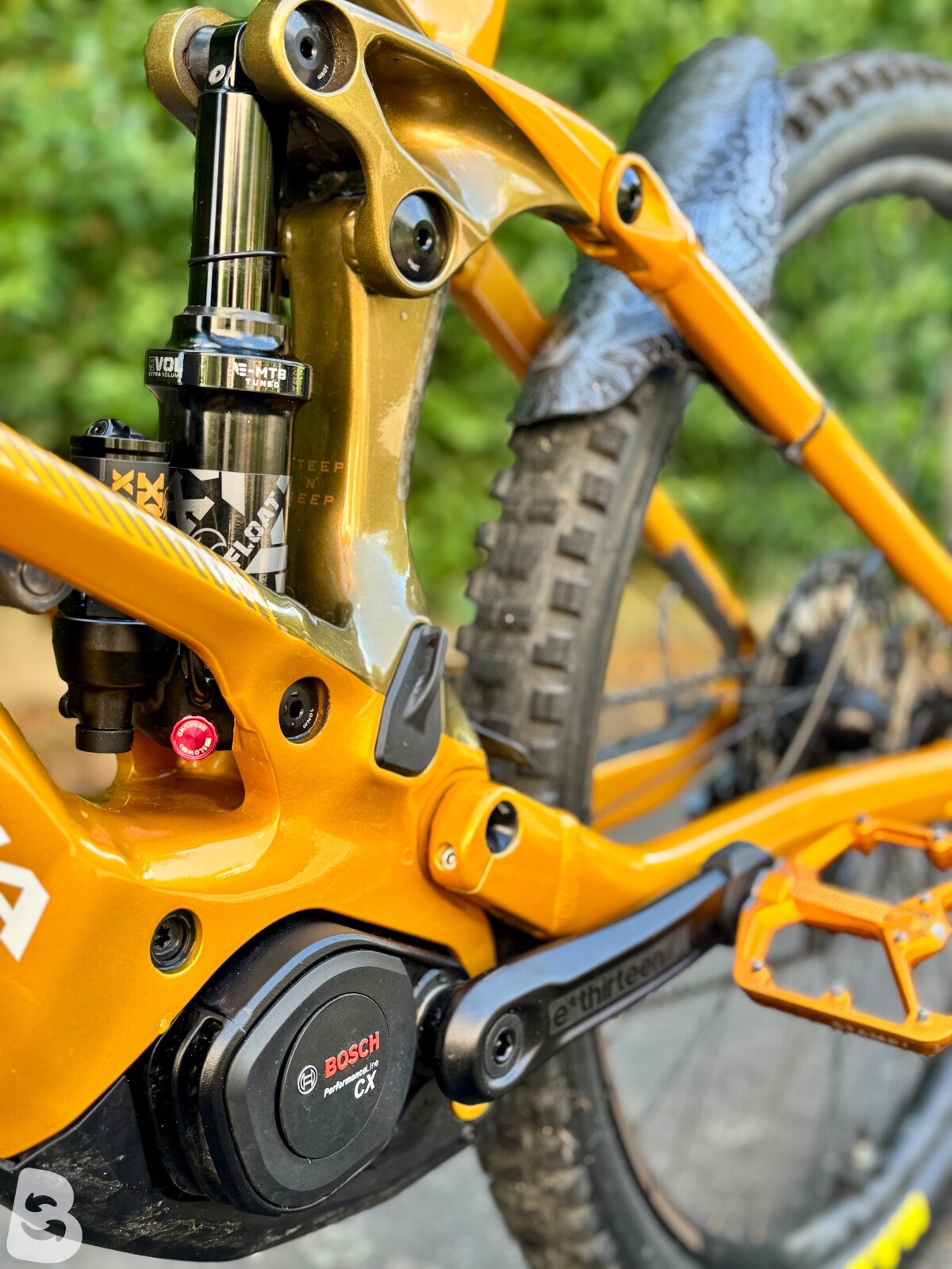 Orbea Wild H20 2025