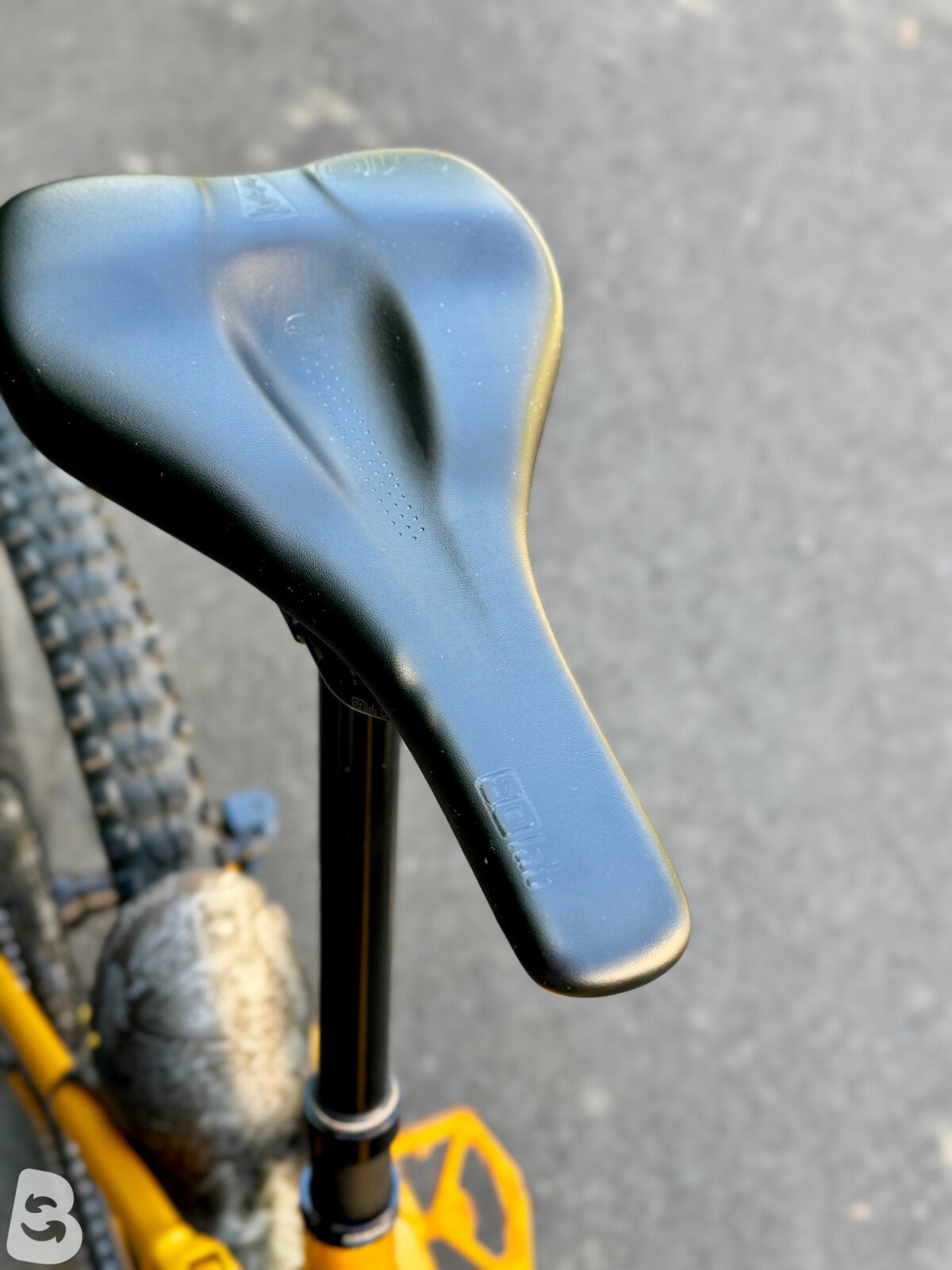Orbea Wild H20 2025