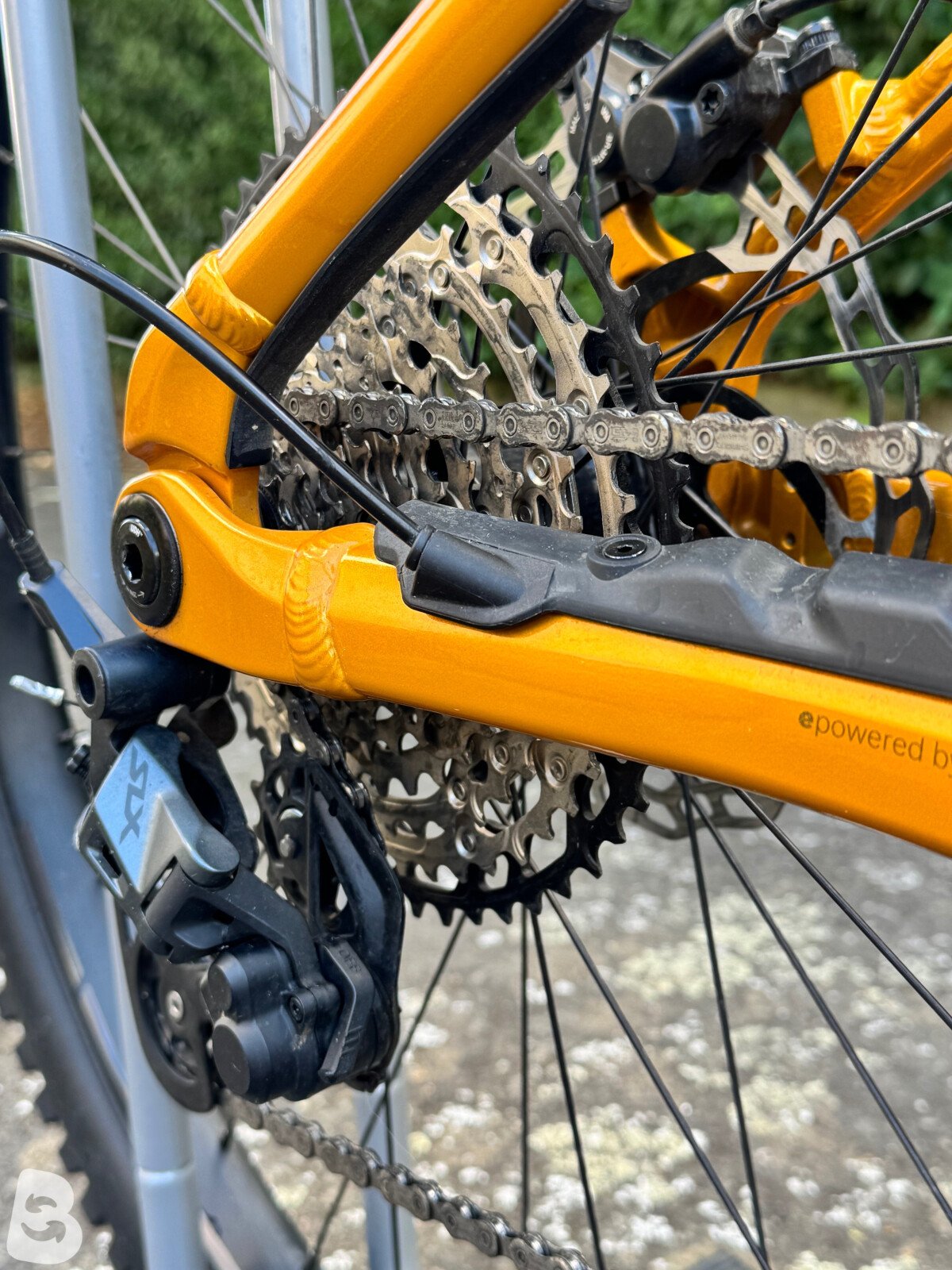 Orbea Wild H20 2025