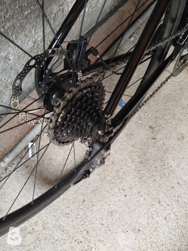 Trek Domane Al 2 Gen 4 2024