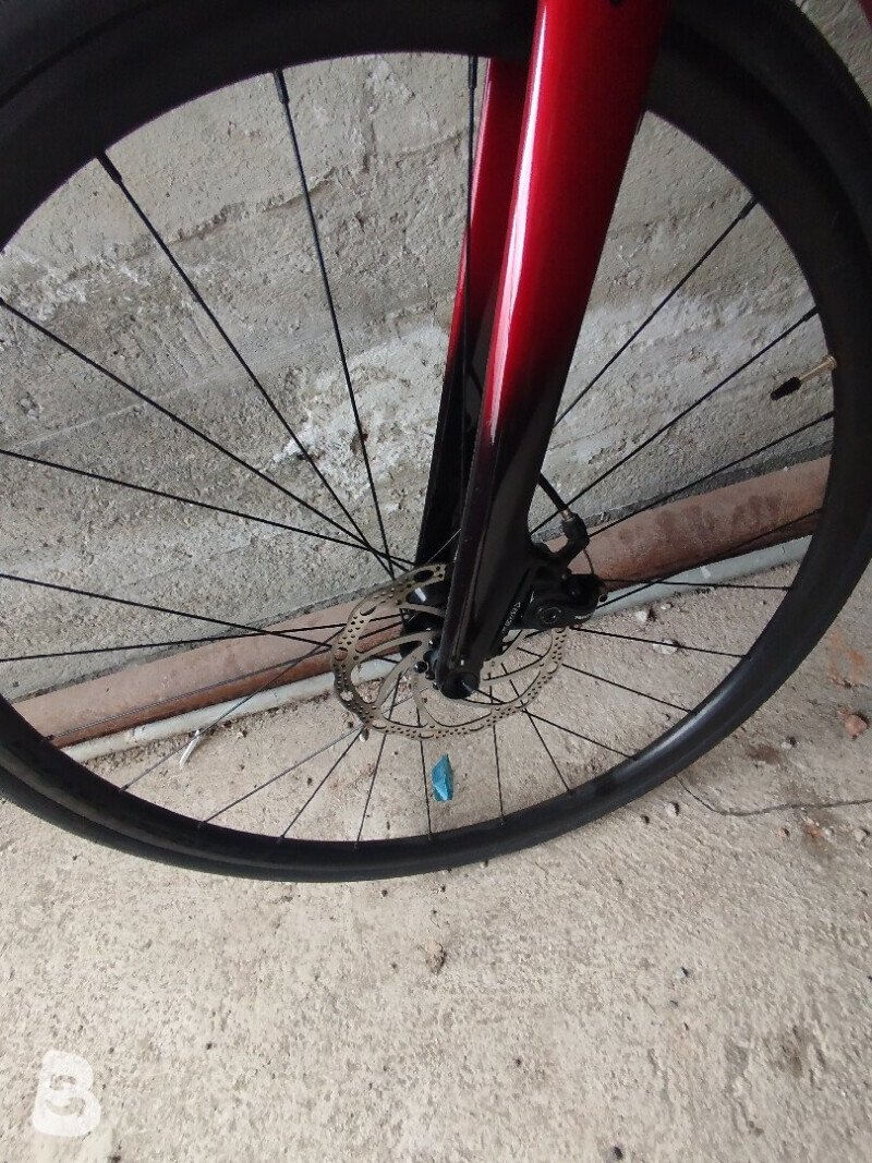 Trek Domane Al 2 Gen 4 2024