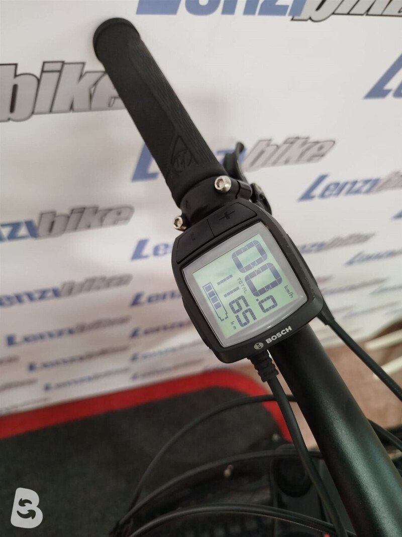 Whistle B-RUSH A5.1 LT 2021