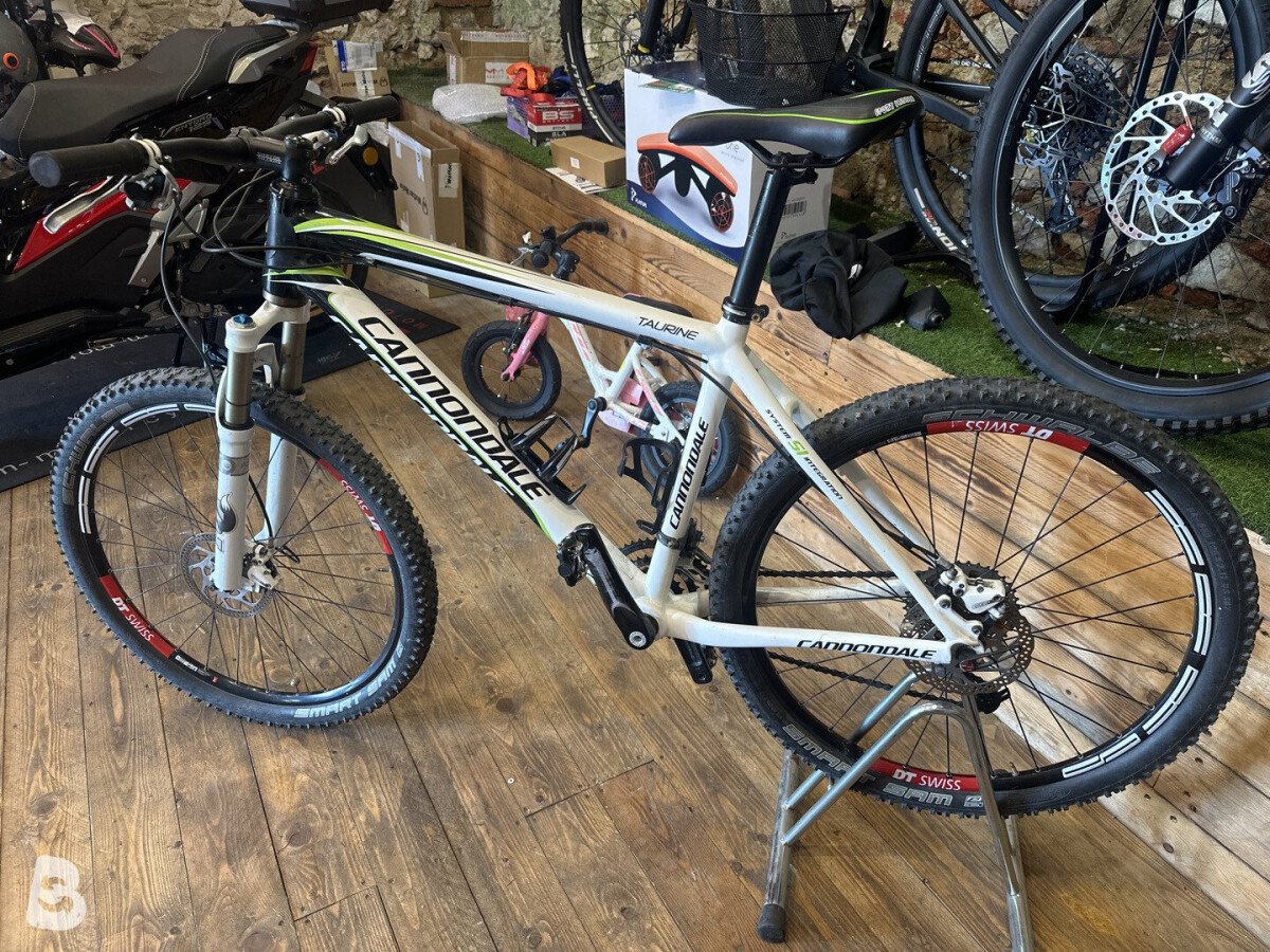 Cannondale Taurine 1999