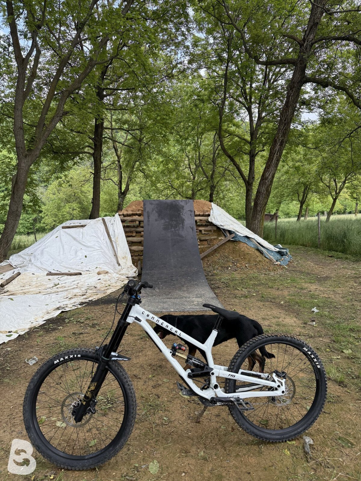 Commencal Furious Essential 2025