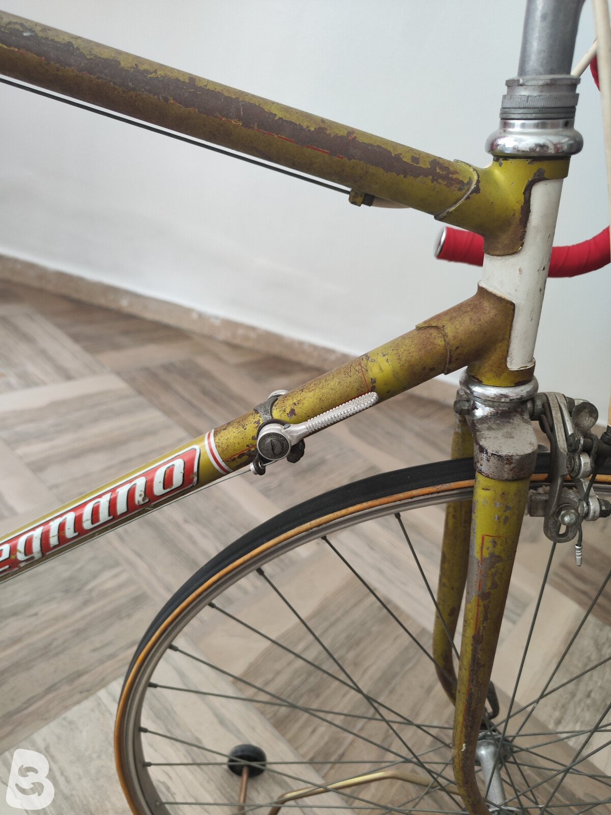 Legnano Campagnolo