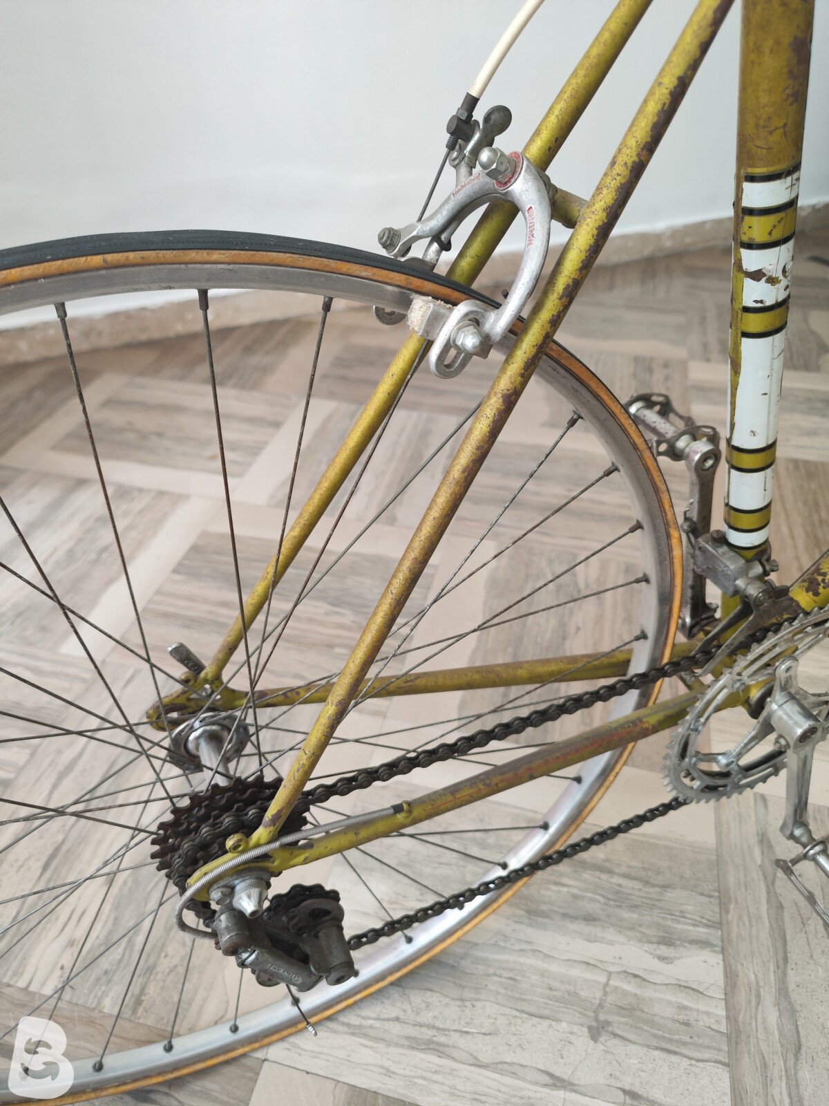Legnano Campagnolo