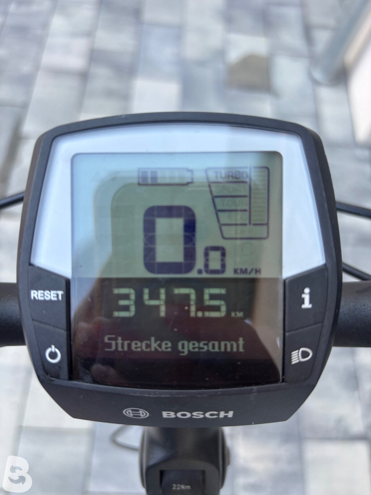 Pegasus SOLERO E8 PLUS Trapeze 2022