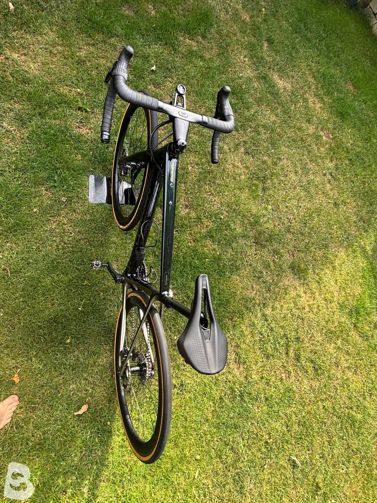 Cannondale Synapse Carbon LTD RLE 2023