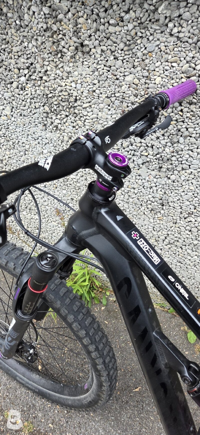 Canyon Spectral Al 5 2020