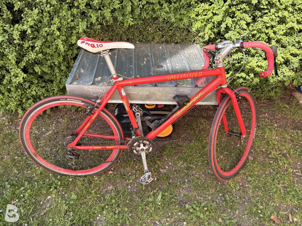 Specialized Stumpjumper Rennrad