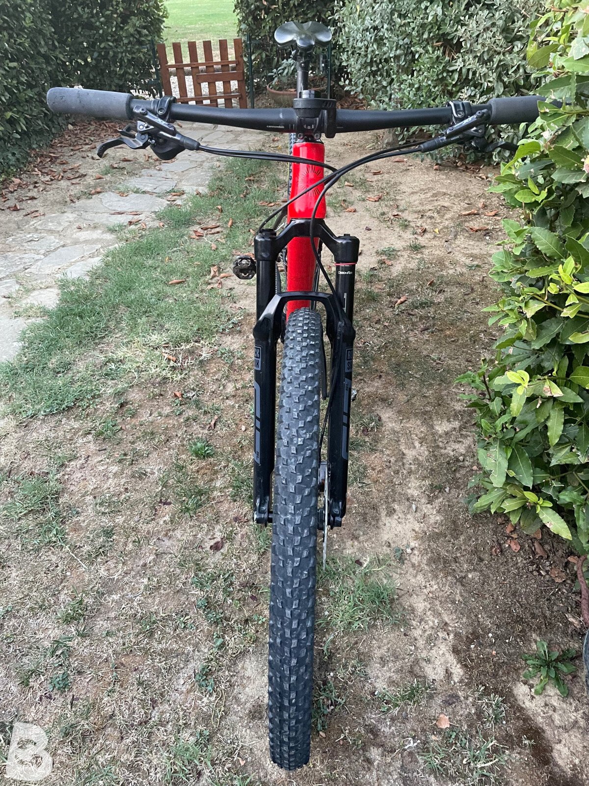 Cannondale Scalpel HT Carbon 4 2022