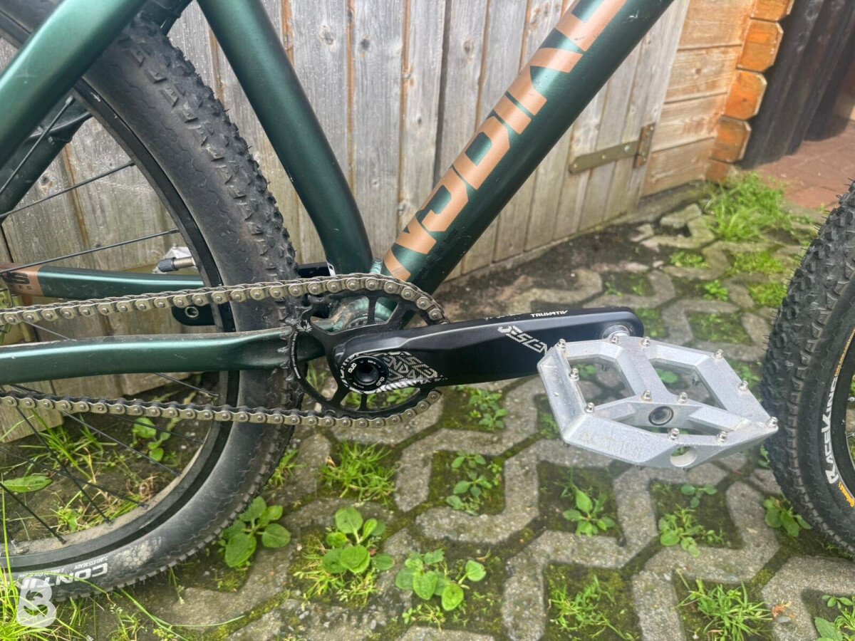 NS Bikes Movement 2 2021