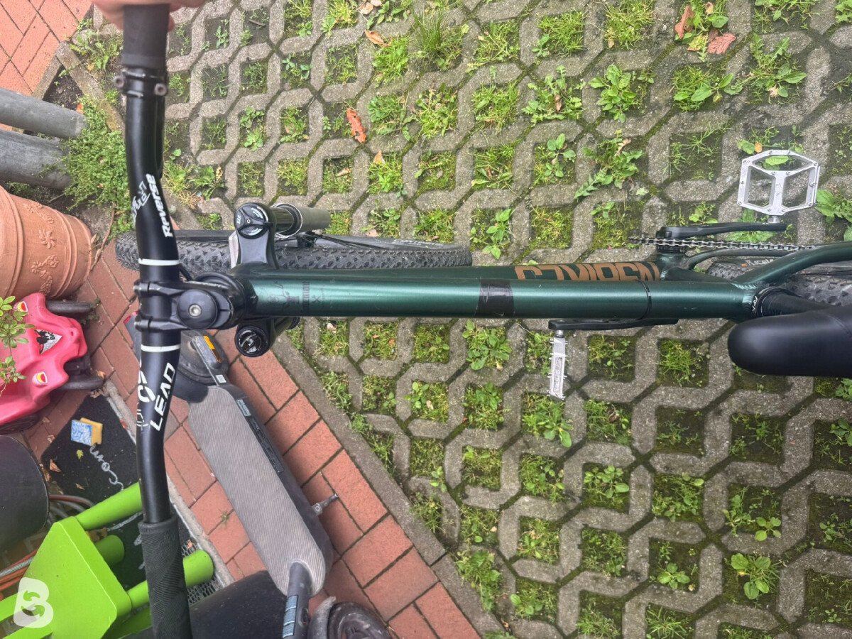 NS Bikes Movement 2 2021