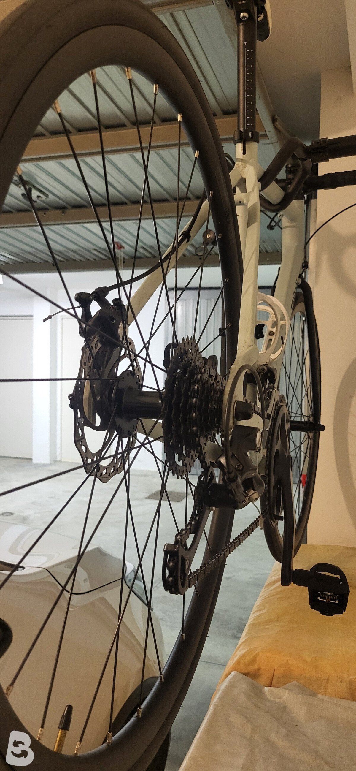 Triban RC 120 Disc 2022