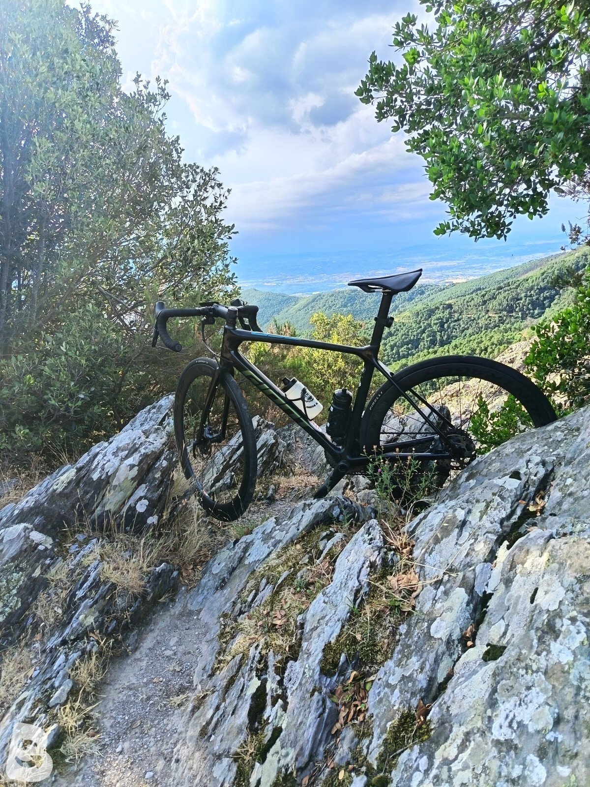 Giant TCR pro 0 Force 2020