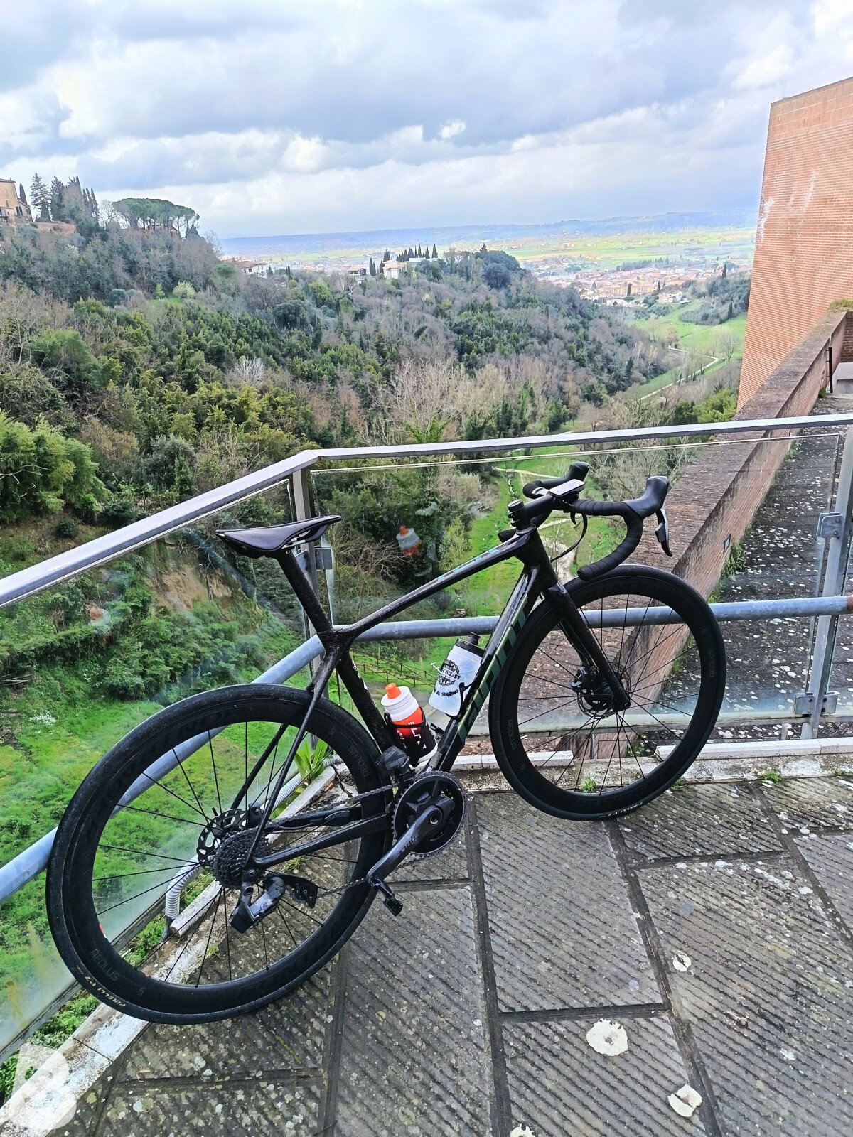 Giant TCR pro 0 Force 2020