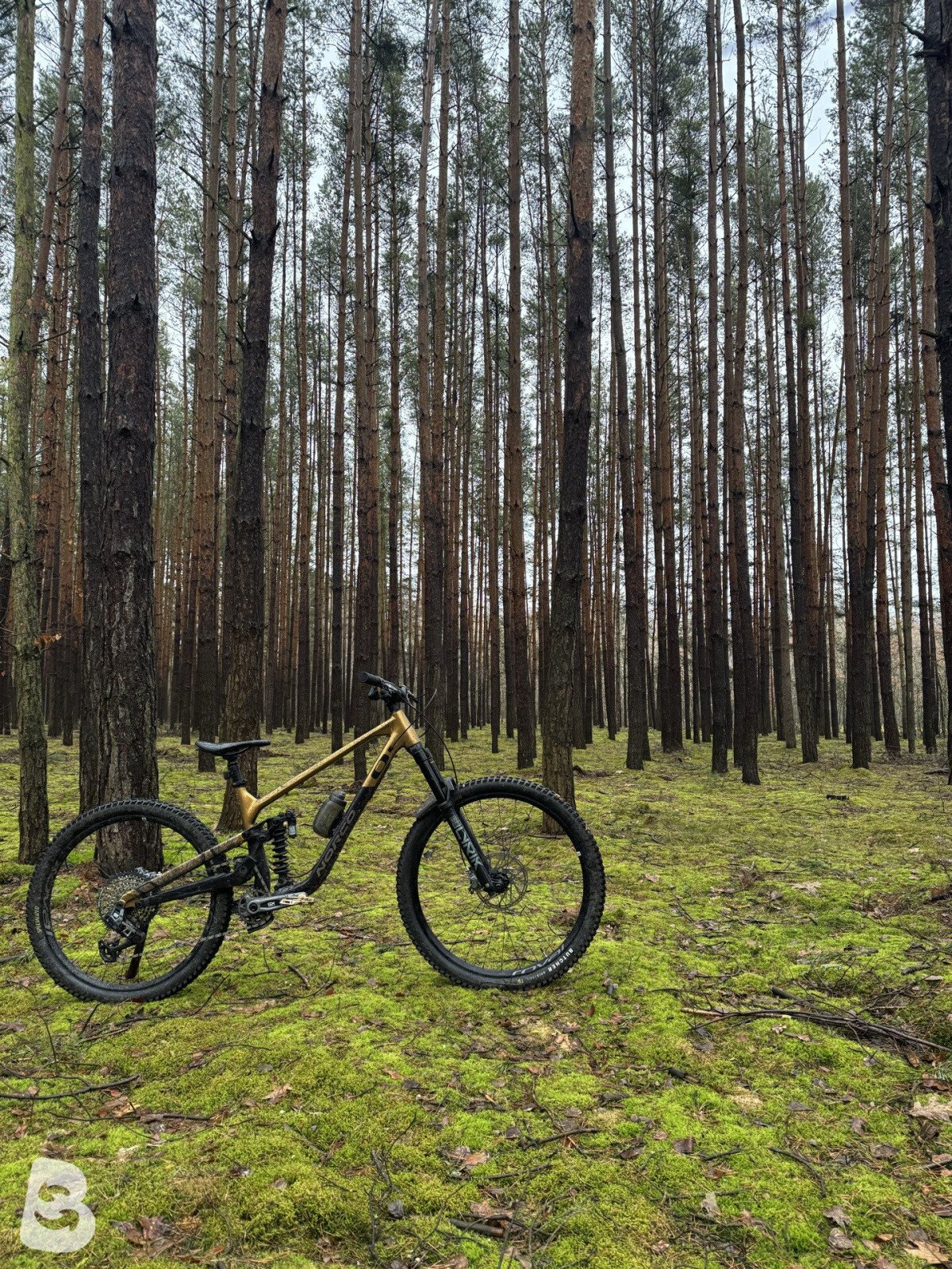 Norco Sight A1 2024