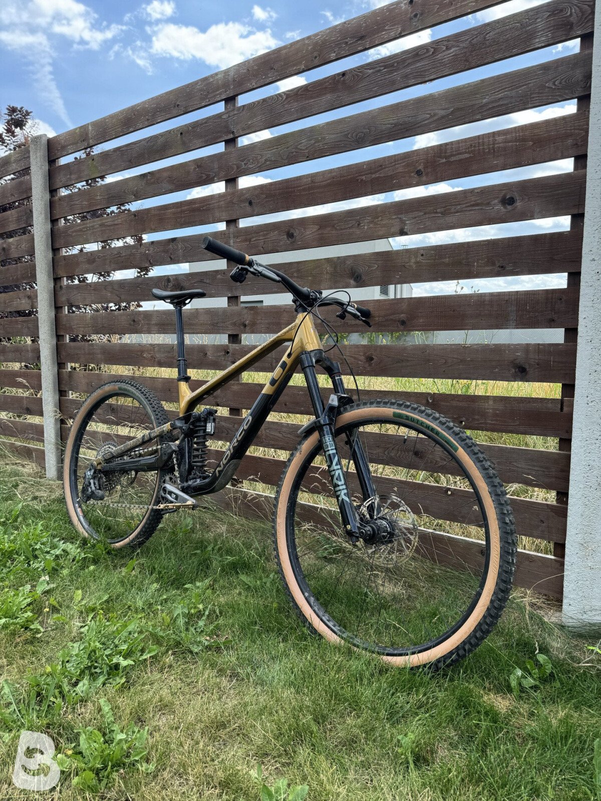 Norco Sight A1 2024