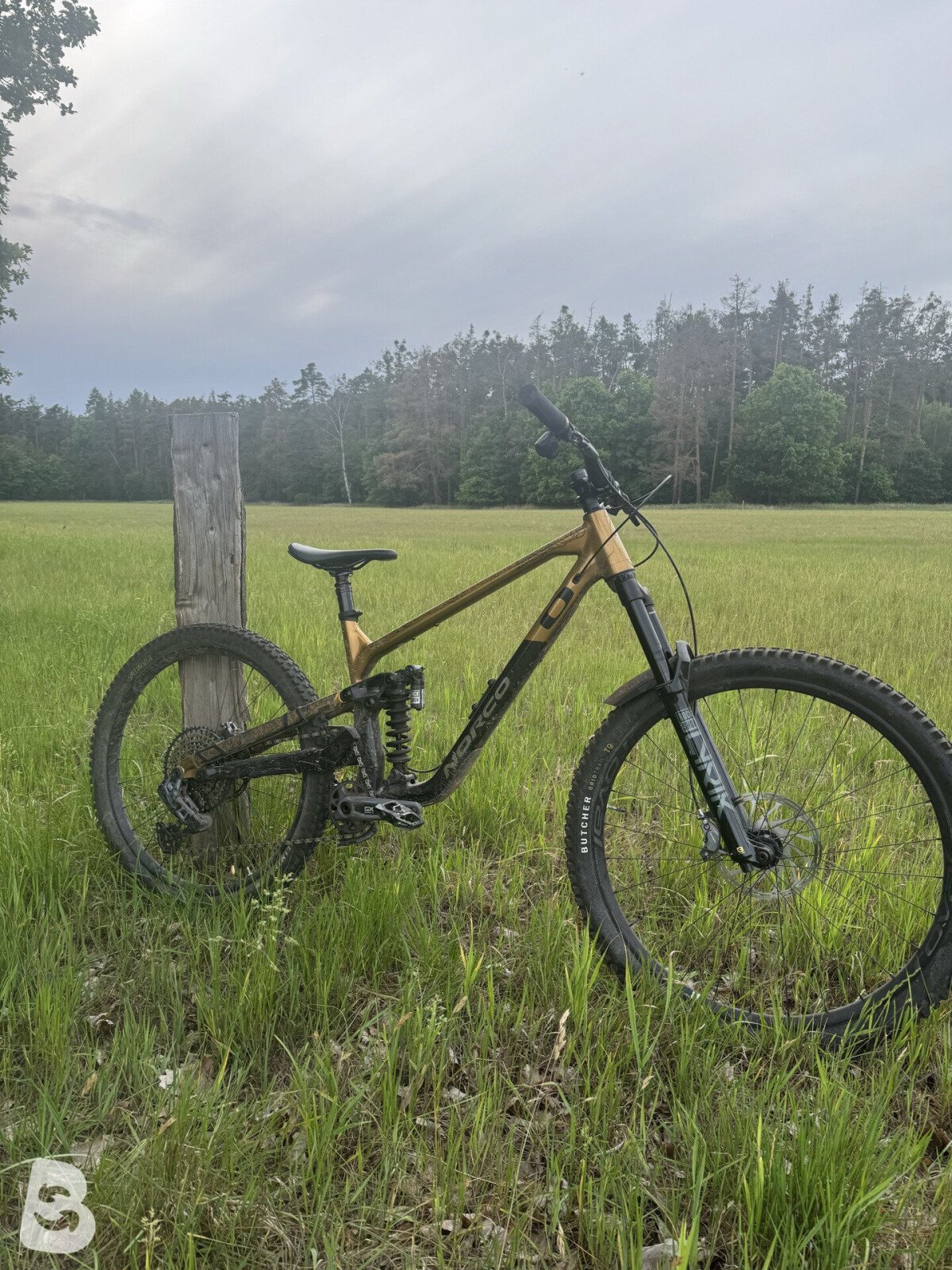 Norco Sight A1 2024