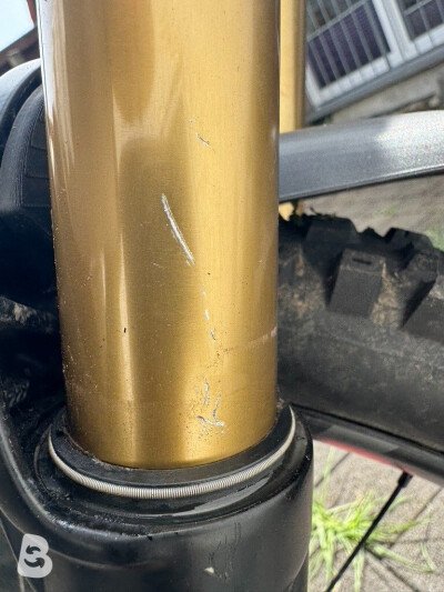 Canyon Torque:ON CF 9 2024