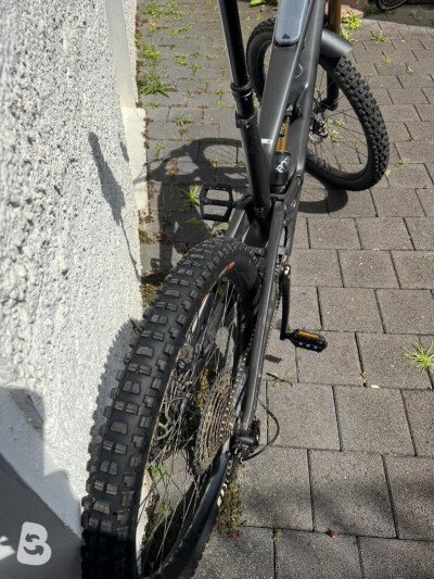 Canyon Torque:ON CF 9 2024