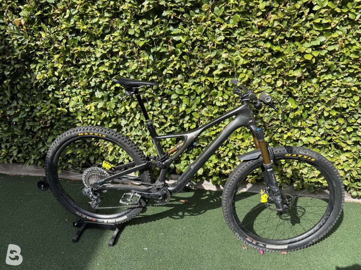Specialized S-Works Stumpjumper 29 2019