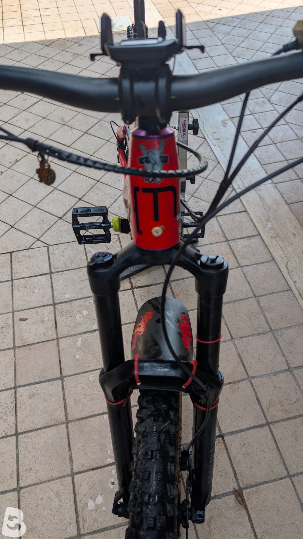 Moustache Samedi 27 Race 6 2018
