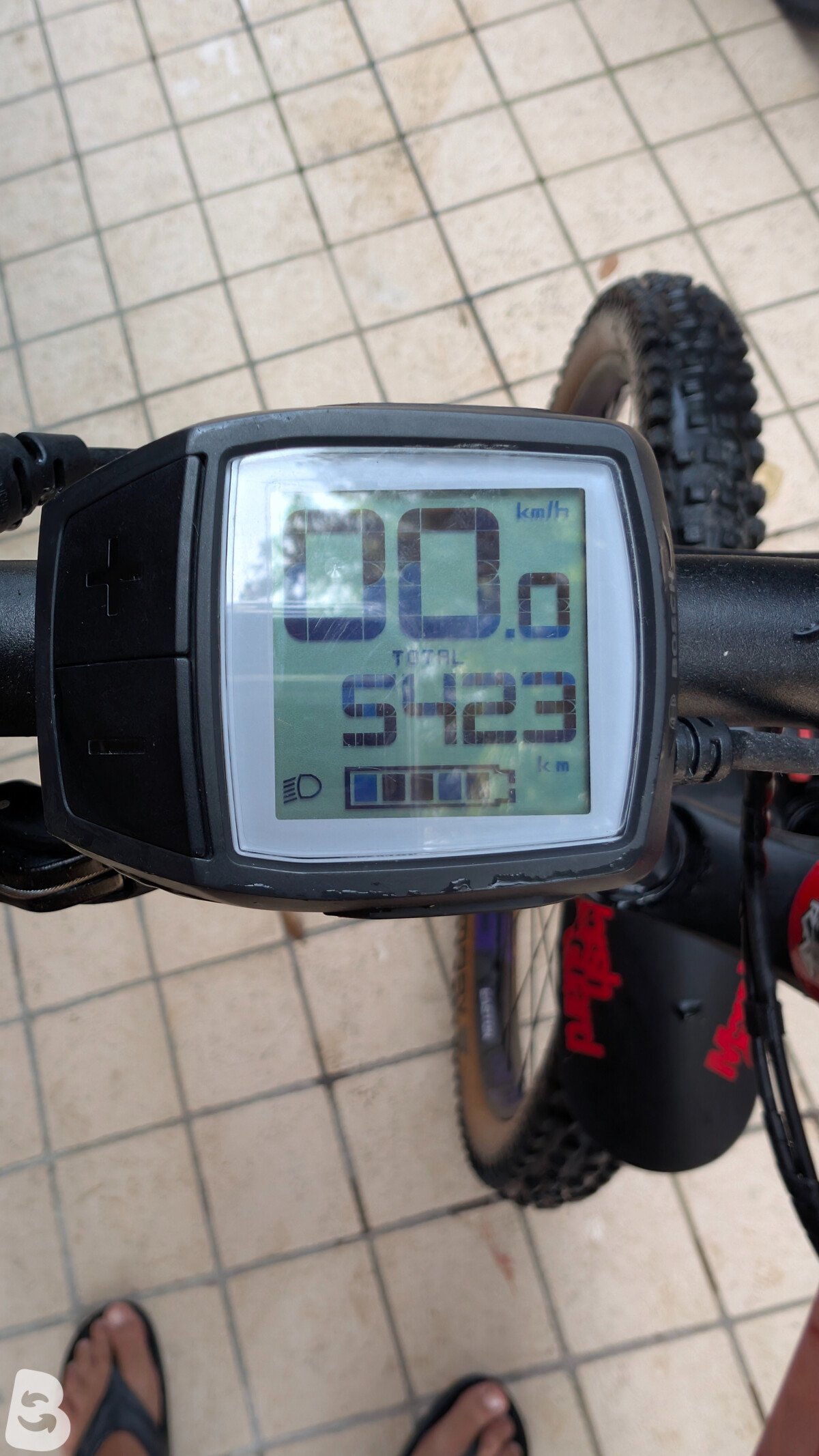 Moustache Samedi 27 Race 6 2018