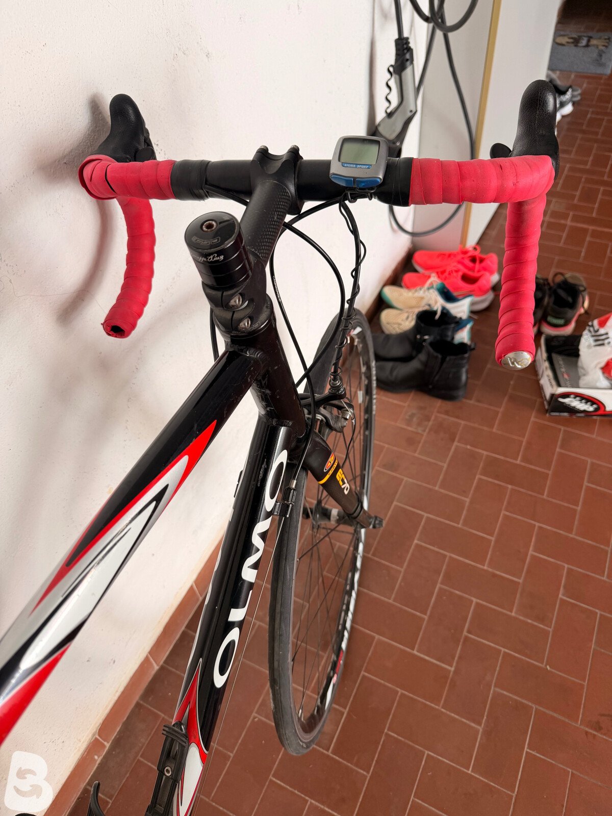 Olmo Scatto 2005