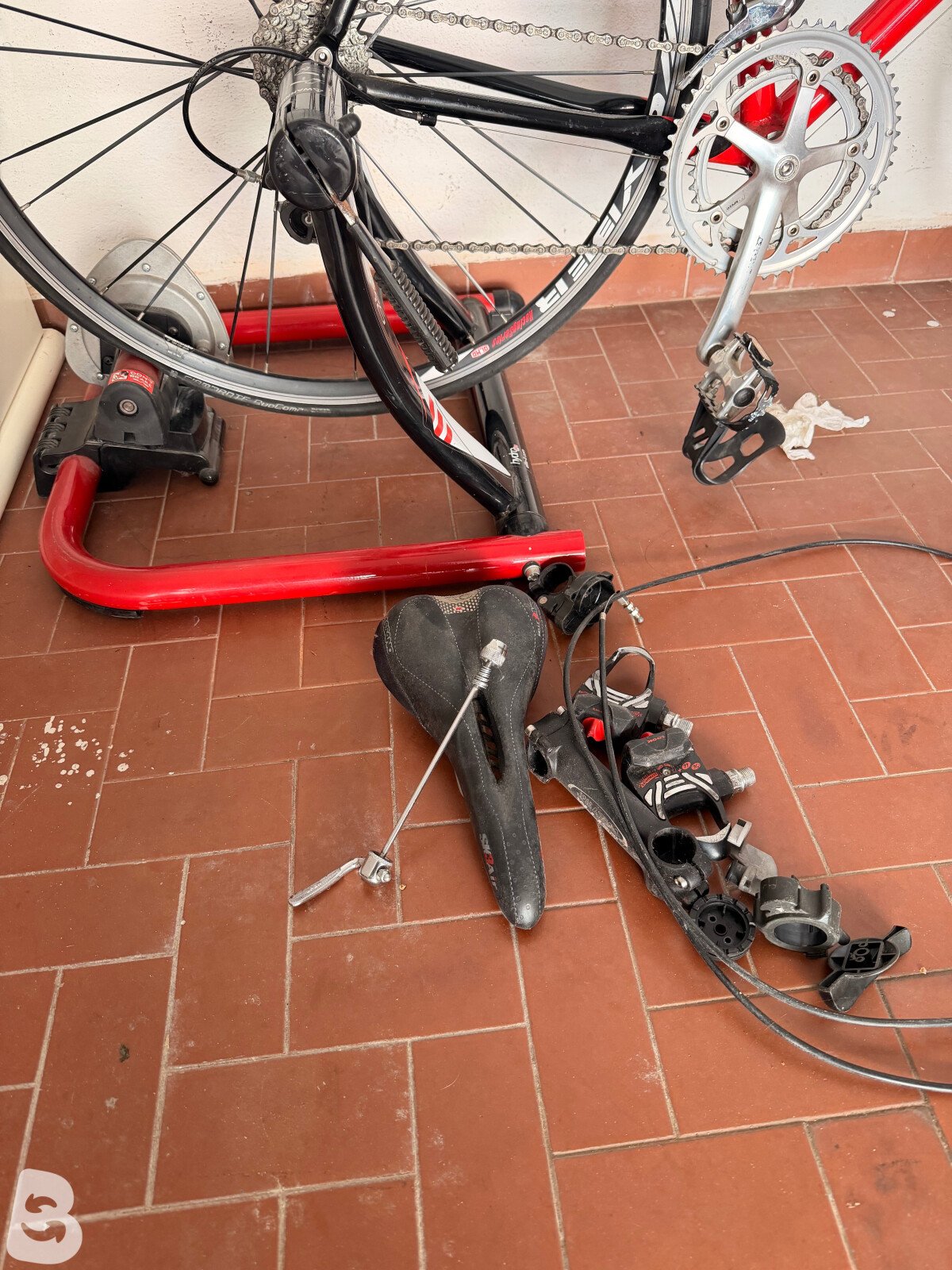 Olmo Scatto 2005