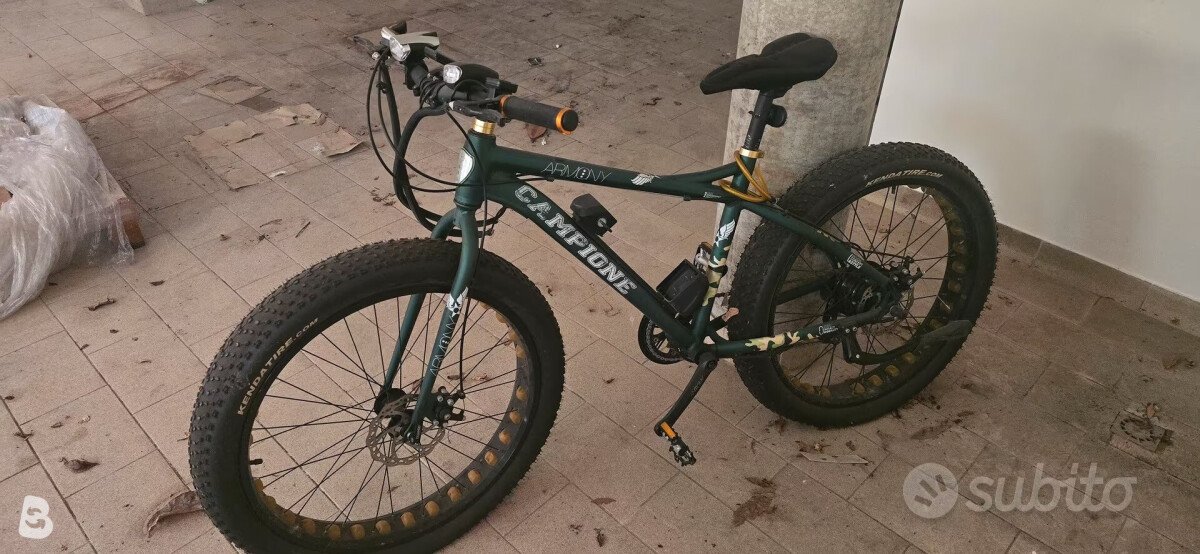 Armony campione fat bike 2017