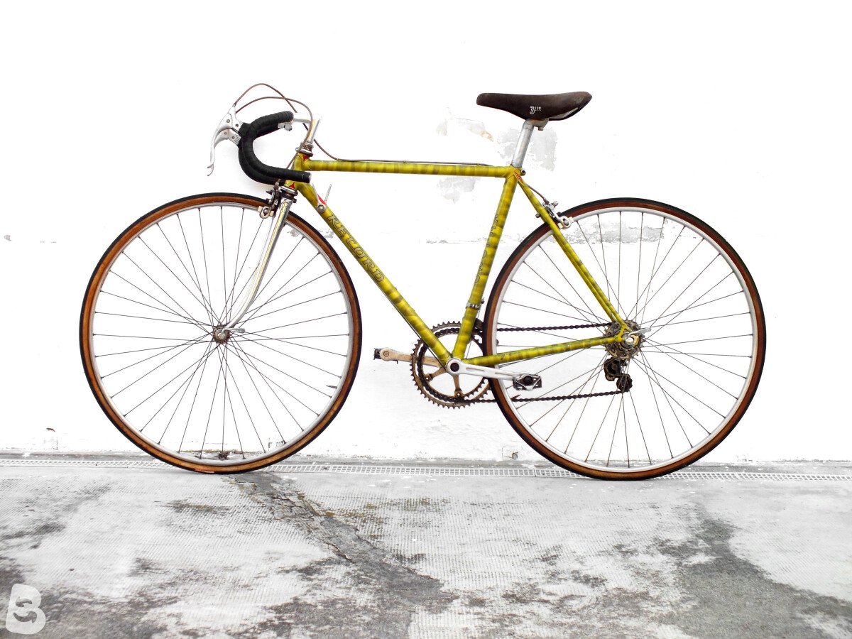 CYCLES RECORD zebrata 1980