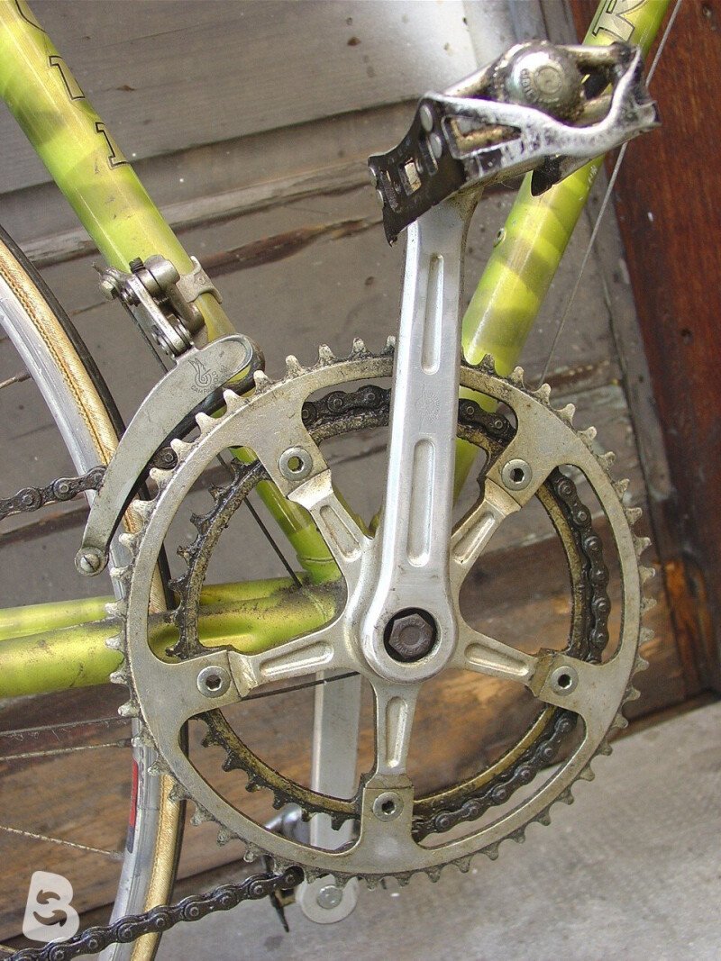 CYCLES RECORD zebrata 1980