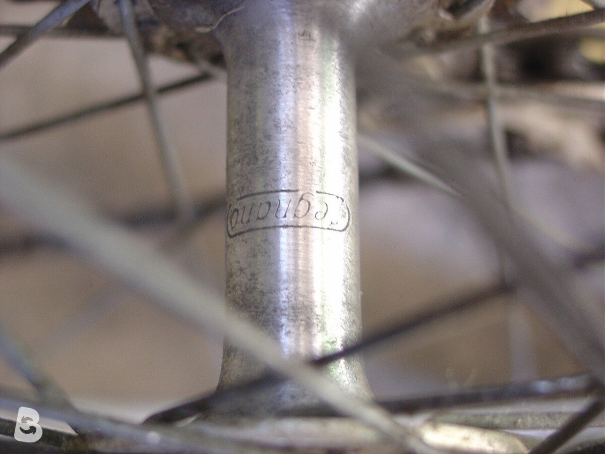 CYCLES RECORD zebrata 1980