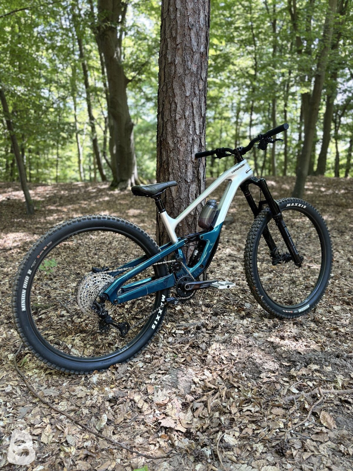 Cannondale Jekyll 2 2025