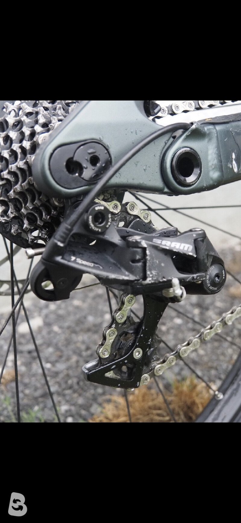 Scott Gambler 910 2024