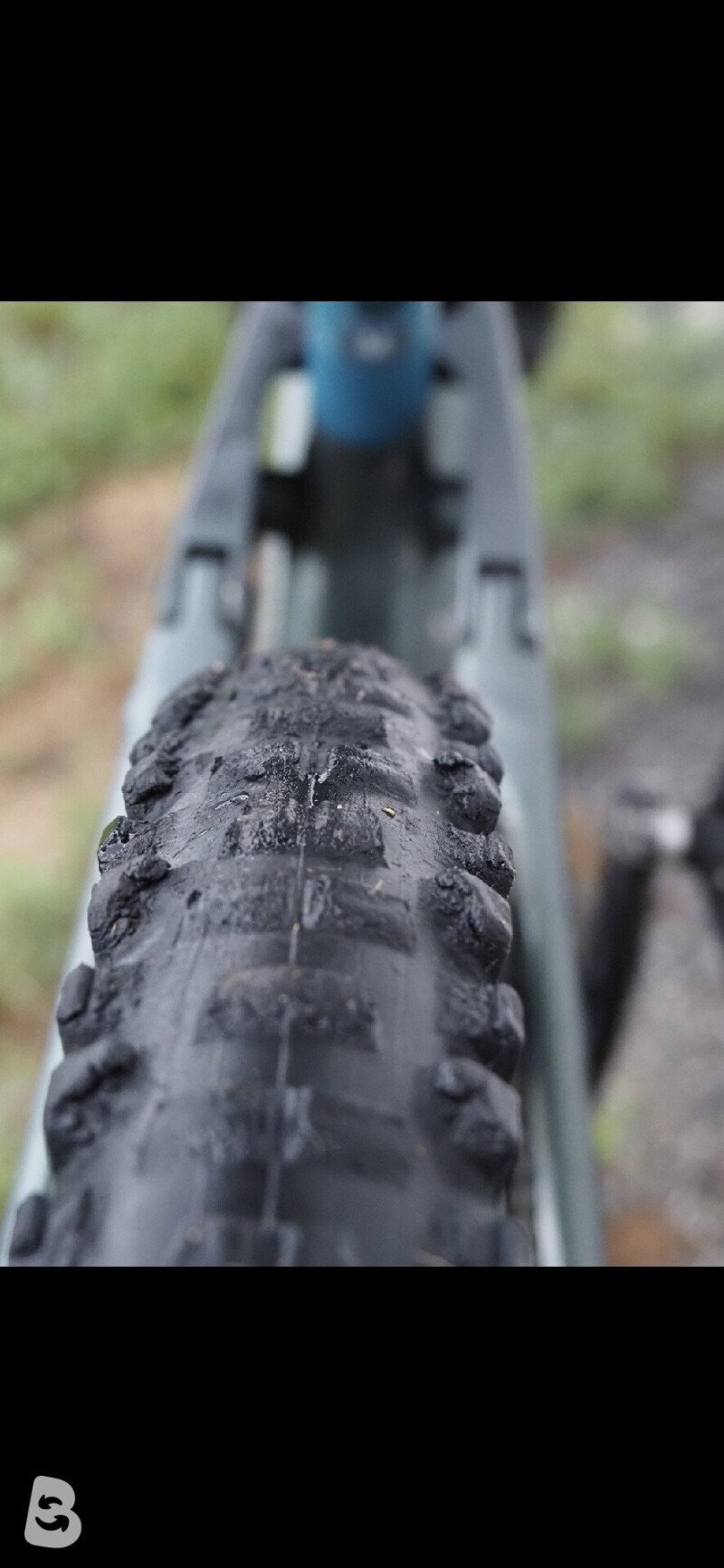 Scott Gambler 910 2024
