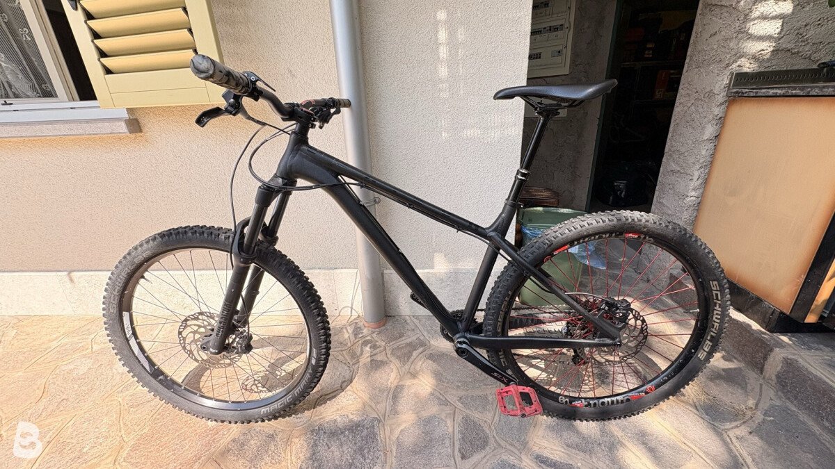 NS Bikes Eccentric Alu 2020