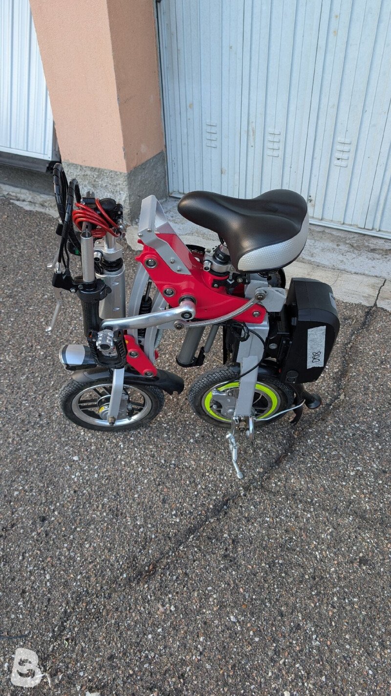 Ciocc Piegh 2024
